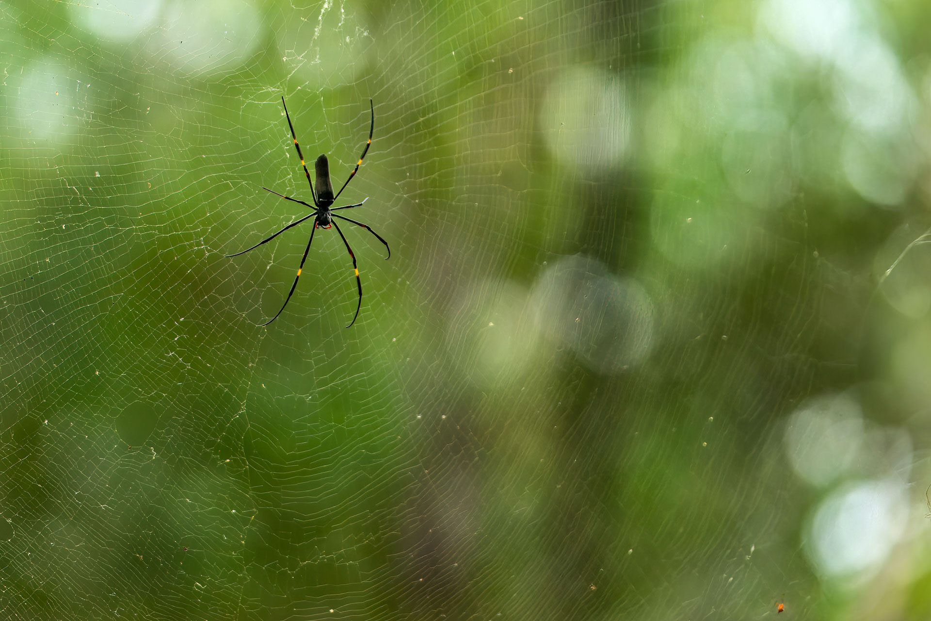 Kakadu National Park - Anbangbang Rock Shelter